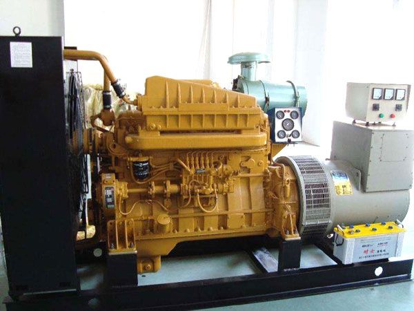 临安有哪些有效的方法可以预防柴油发电机组的蓄电池出现硫化现象？